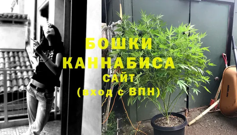 Канабис Bruce Banner  как найти закладки  Жуков 